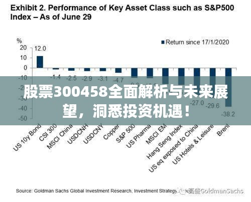 股票300458全面解析与未来展望,洞悉投资机遇!