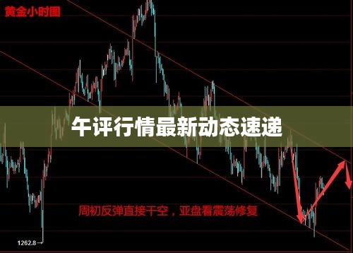 午评行情最新动态速递