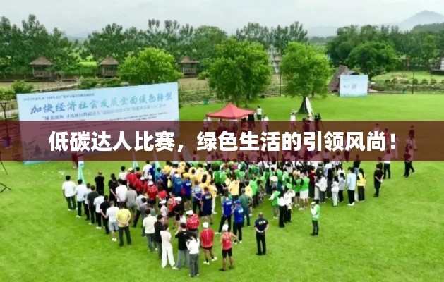 低碳达人比赛,绿色生活的引领风尚!