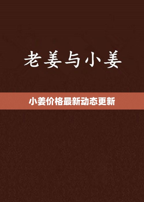 小姜价格最新动态更新