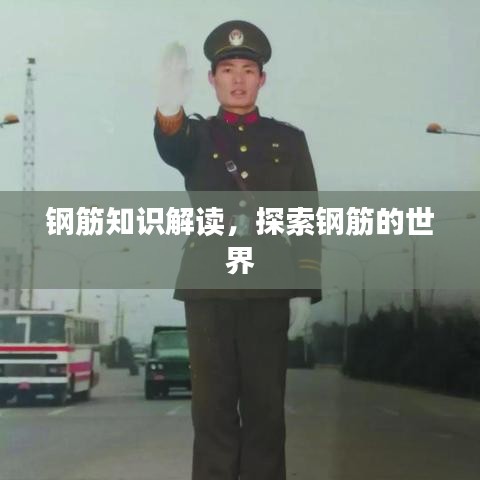 钢筋知识解读,探索钢筋的世界