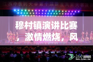 穆村镇演讲比赛,激情燃烧,风采展现日