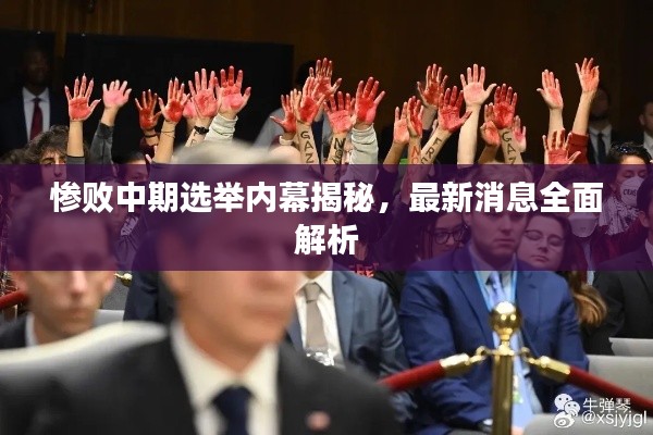 惨败中期选举内幕揭秘,最新消息全面解析