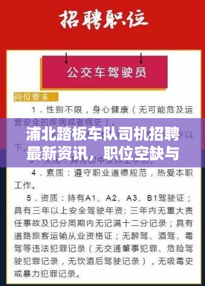 浦北踏板车队司机招聘最新资讯，职位空缺与要求全解析