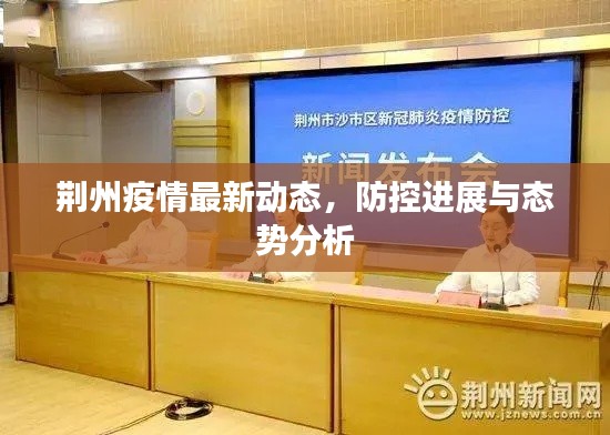 荆州疫情最新动态，防控进展与态势分析