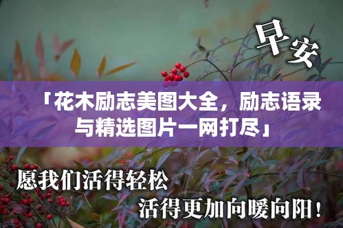 「花木励志美图大全,励志语录与精选图片一网打尽」