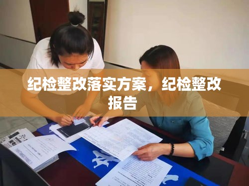 纪检整改落实方案,纪检整改报告