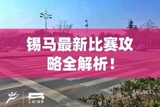锡马最新比赛攻略全解析!