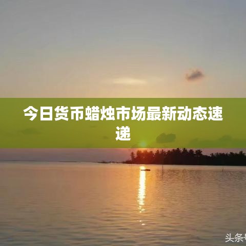 今日货币蜡烛市场最新动态速递