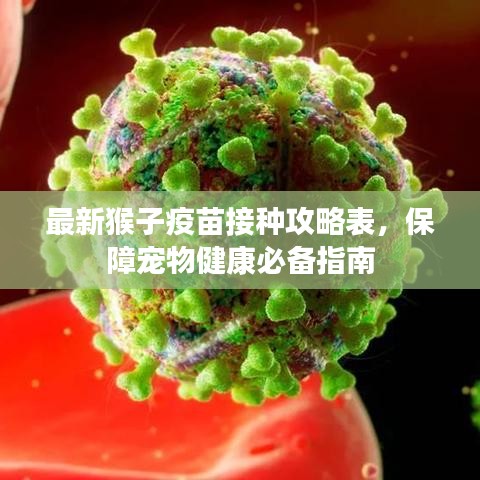 最新猴子疫苗接种攻略表,保障宠物健康必备指南