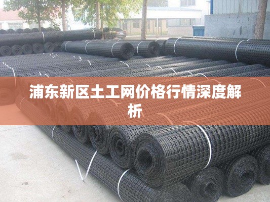浦东新区土工网价格行情深度解析
