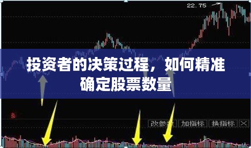 投资者的决策过程,如何精准确定股票数量