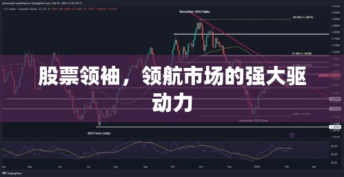 股票领袖,领航市场的强大驱动力
