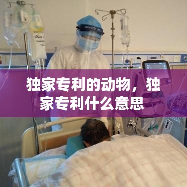 独家专利的动物，独家专利什么意思 