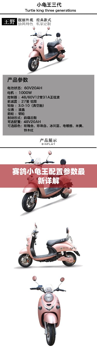 赛鸽小龟王配置参数最新详解