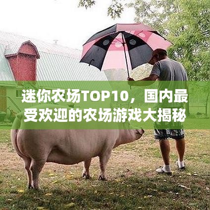 迷你农场TOP10,国内最受欢迎的农场游戏大揭秘