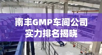 南丰GMP车间公司实力排名揭晓