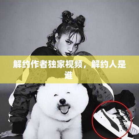 解约作者独家视频,解约人是谁