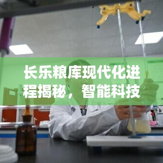 长乐粮库现代化进程揭秘,智能科技引领粮仓建设新篇章