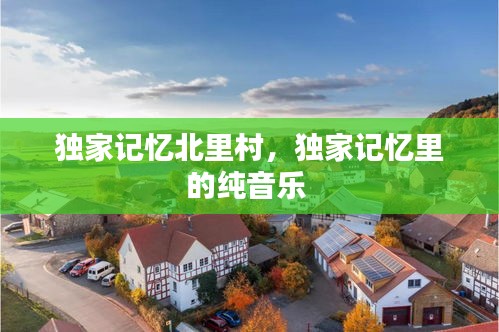 独家记忆北里村,独家记忆里的纯音乐