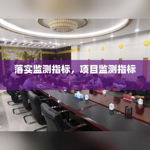 落实监测指标,项目监测指标