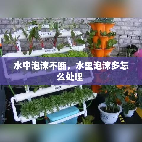 水中泡沫不断,水里泡沫多怎么处理