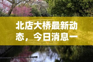 北店大桥最新动态，今日消息一览