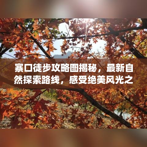 寨口徒步攻略图揭秘,最新自然探索路线,感受绝美风光之旅