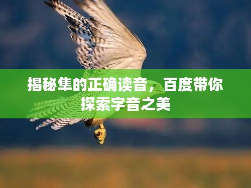 揭秘隼的正确读音,百度带你探索字音之美