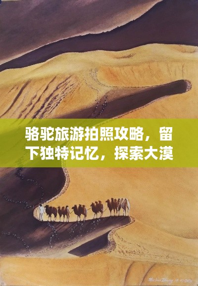 骆驼旅游拍照攻略,留下独特记忆,探索大漠风光!