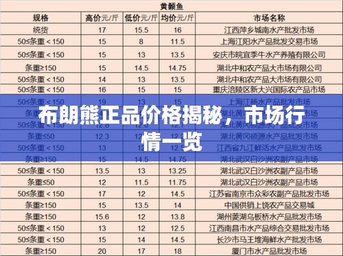 布朗熊正品价格揭秘，市场行情一览