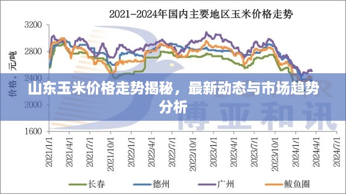 山东玉米价格走势揭秘,最新动态与市场趋势分析