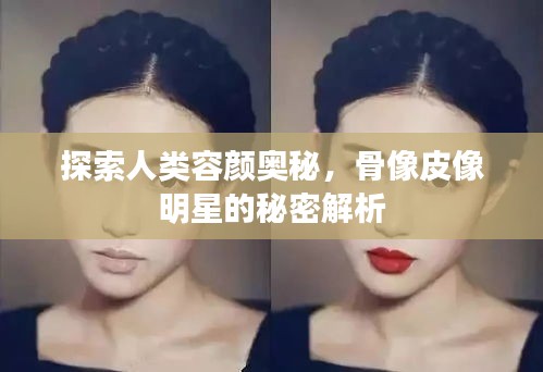探索人类容颜奥秘,骨像皮像明星的秘密解析