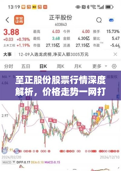 至正股份股票行情深度解析,价格走势一网打尽!