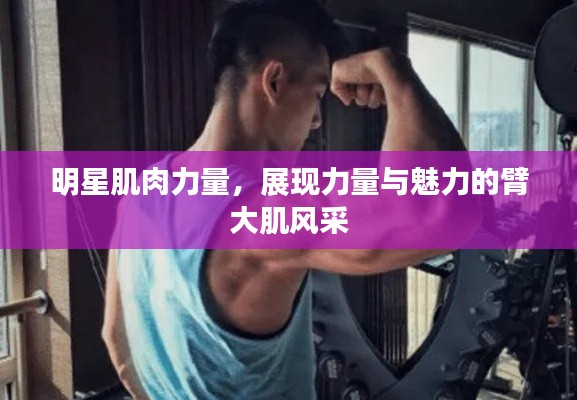 明星肌肉力量,展现力量与魅力的臂大肌风采